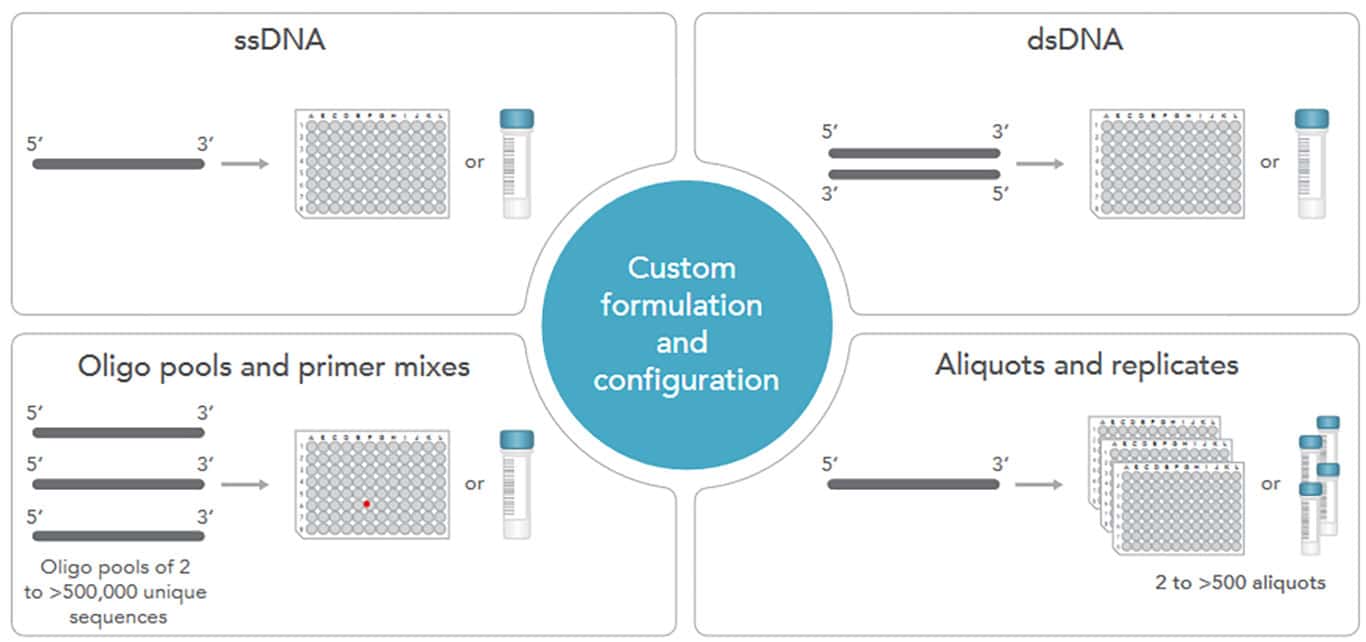 custom formula and configuration options for custom dna oligos