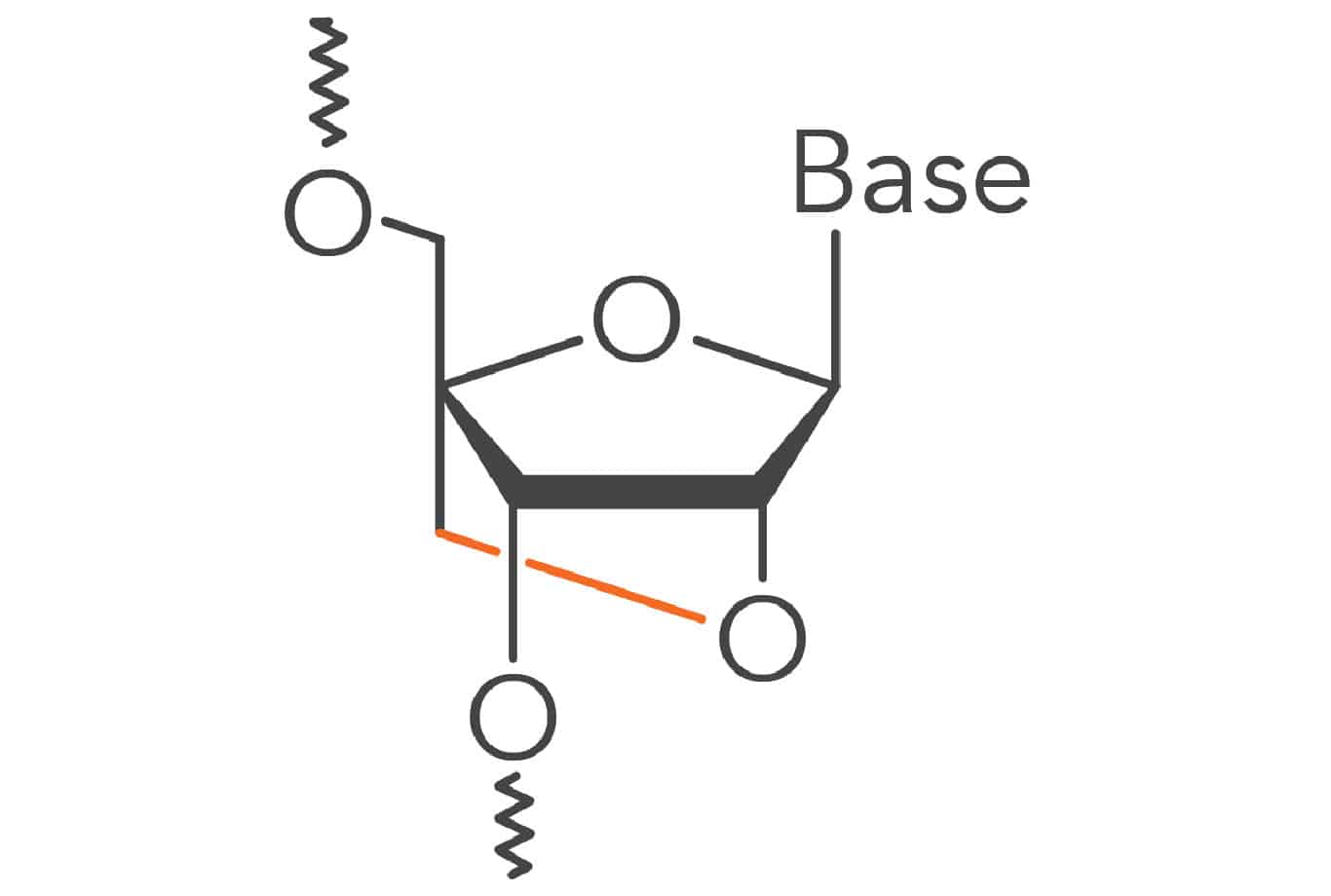 affinity plus monomer